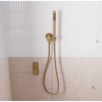 Brushed Gold Hand Shower On Bracket